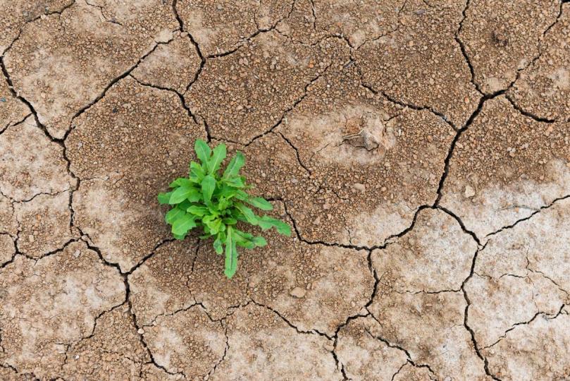 A stylized graphic representing a strong digital network with some nodes highlighted and others fading, symbolizing the stress test and consolidation in DeFi.