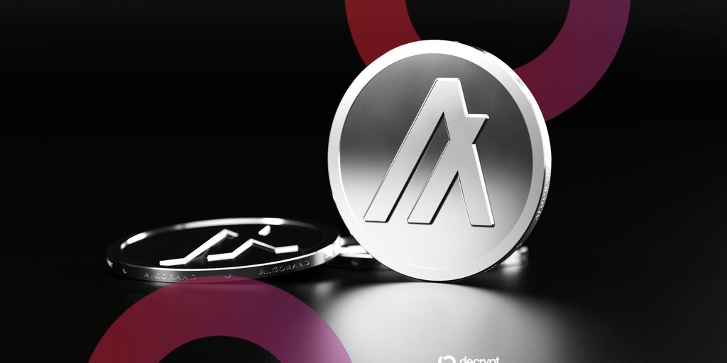 Chart showing Algorand token price surge following Google's post-quantum cryptography research paper publication