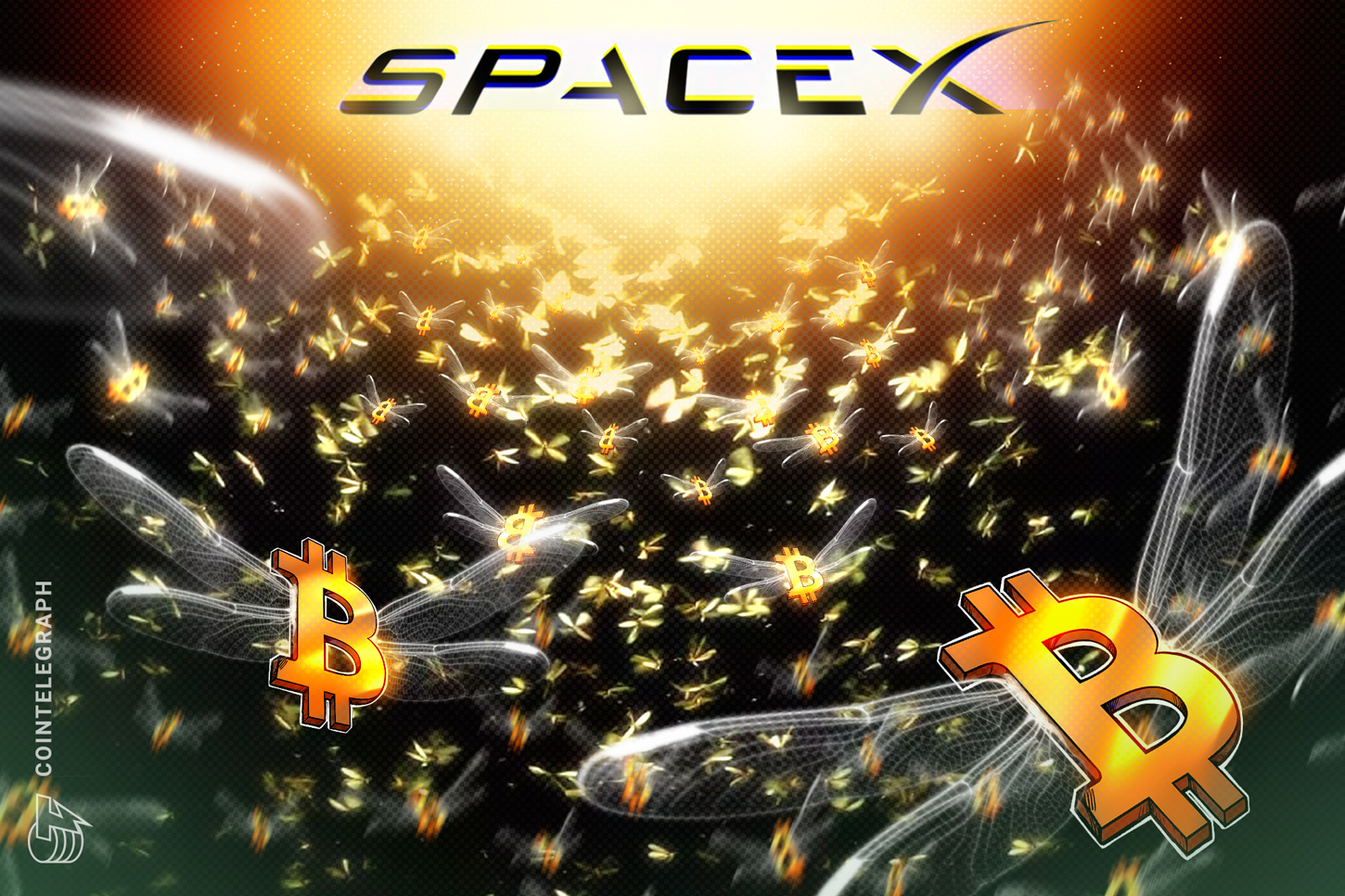 SpaceX IPO: Bitcoin Holdings Dwarf Tesla's